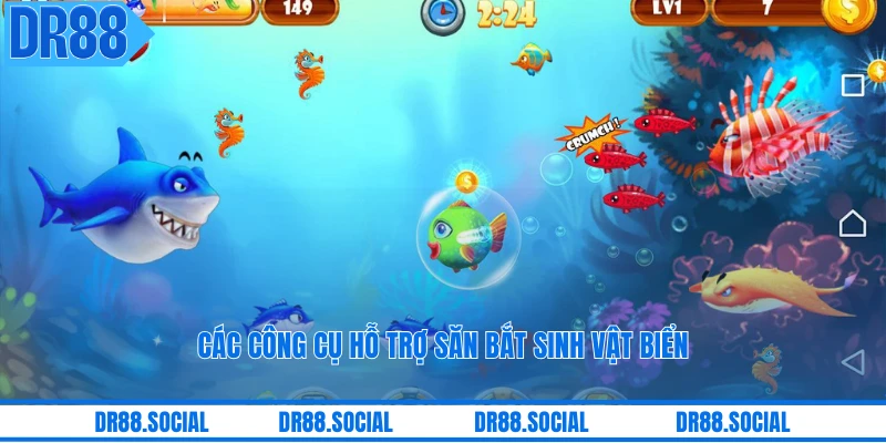 Các công cụ hỗ trợ săn bắt sinh vật biển