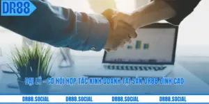 Đại Lý - Cơ Hội Hợp Tác Kinh Doanh Tại Sàn DR88 Đỉnh Cao