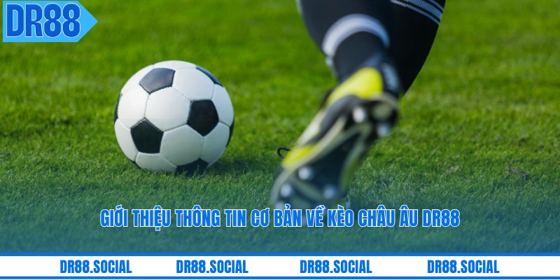 Giới thiệu thông tin cơ bản về kèo châu Âu DR88