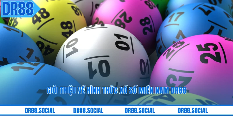 Giới thiệu về hình thức xổ số miền Nam DR88