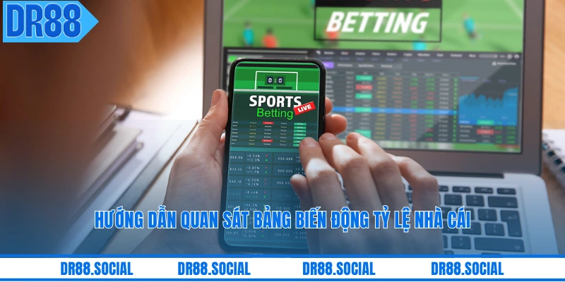 Hướng dẫn quan sát bảng biến động tỷ lệ nhà cái