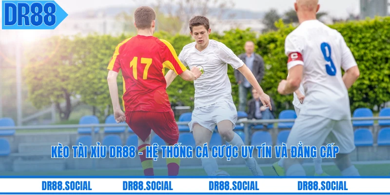 Kèo Tài Xỉu DR88 - Hệ Thống Cá Cược Uy Tín Và Đẳng Cấp