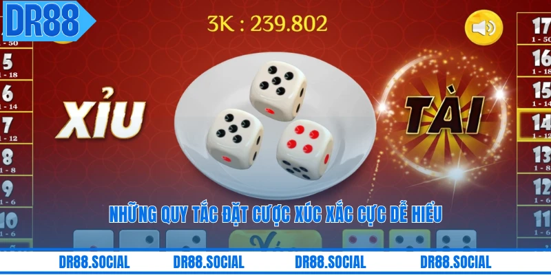 Những quy tắc đặt cược xúc xắc cực dễ hiểu